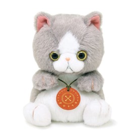 Sun Arrow K-9124 potte Exotic Short Hair