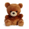 Aurora® Adorable Palm Pals™ Artie Bear™ Stuffed Animal - Pocket-Sized