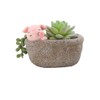 Youfui Home Decor Pot, Succulent Planter Flowerpot Decor for Home