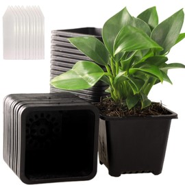 25 Packs Square Nursery Pots for Plants 4 Inch Succulent Plant Pots Set Plastic Seedling Starting Pots with Drainage Holes Nursery Pots Variety Pack Flower pots Planter Seed Starter, Black