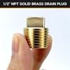 HAPDEN Boat Plugs 1/2 Inch Npt Solid Brass Boat Drain