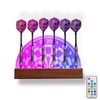 CoolGift Mart Dart Holder, 色, Wall mount-Multicolor