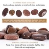 5 lbs Approx. 25 River Rocks Pebbles for Plants Natural