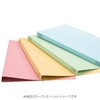 Kokuyo File Flat File S2 A4 Long Edge Binding 4
