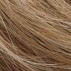 Gabor Conviction Wig (G19+ Praline Mist)