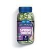 Litehouse Freeze Dried Spring Onion - Fresh Spring Onion, 1