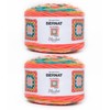 Bernat Blanket Granny Square Throwback Yarn - 2 Pack of