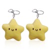 Pack of 2 Star Key Fobs, Star Key Fob Caricature,