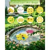 Bee Watering Station Floating Island - 5 Pack Pollinator Drinker