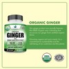 American Standard Supplements Organic Ginger Root 3850mg with Organic Black