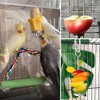 Soporte de Comida para pájaros, Titular de Comida para Loros,