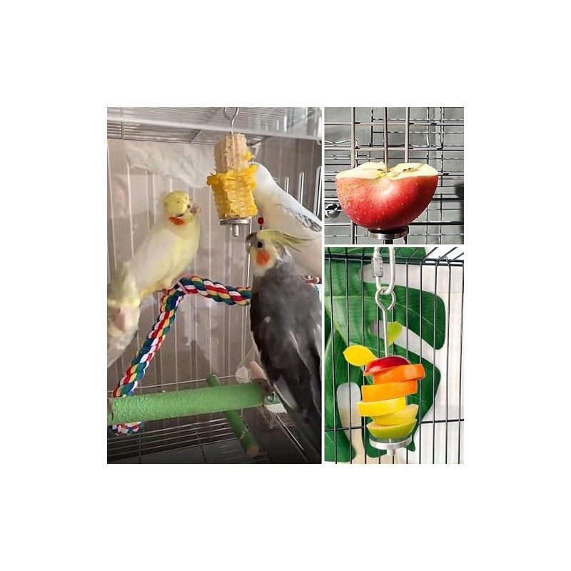 Soporte de Comida para pájaros, Titular de Comida para Loros,