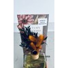 JuliaRaymond Fragrance Reed Diffuser ~AUTUMN VINEYARD~ 5.5fl Oz/162ml.