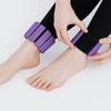 High Quality Weight Training Hand & Ankle Weight Band 2-Piece Set (250g) (Purple) (WFKDZ1P) / 고품질 웨잇 트레이닝 손발목 중량밴드 2p세트(250g) (퍼플) (WFKDZ1P)