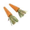 20pcs Carrot Shaped Hamster Toy Teeth Grinding Decorative Crude Fiber