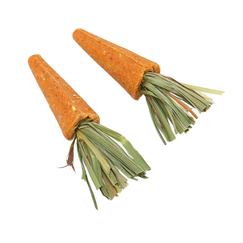 20pcs Carrot Shaped Hamster Toy Teeth Grinding Decorative Crude Fiber