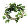 Reptile Climbing Branch Flexible Jungle 3.28ft Rattan 1Pc Vine(3.28ft Rattan+Scindapsus