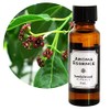 Aroma Essence, Sandalwood (Sandalwood), 1.0 fl oz (30 ml), Aroma