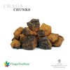 Siberian Chaga Mushroom Chunks Wild Harvested 3 Oz. (85g)
