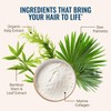 Hair La Vie Live Conscious Revitalizing Blend Hair Growth Vitamins