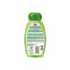 Garnier Whole Blends Kids 2-in1 Shampoo & Conditioner, Paraben Free,