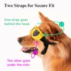 Dog Heart Shaped Goggles Wind-Resistant – Stylish Cute UV Protection