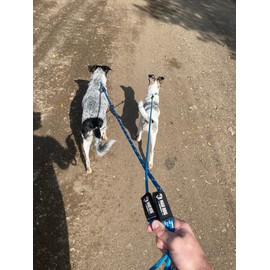 1/4" x 6' Kelly Green Double Braid English Slip Lead Premium Dog Leash - Made in USA