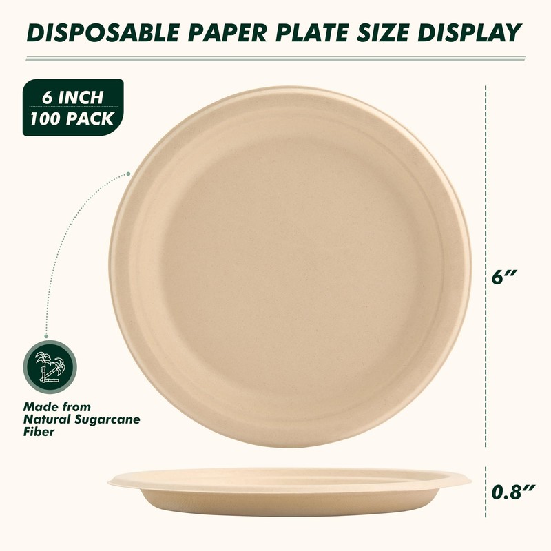 6 Inch 100 Count Round Paper Plates