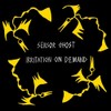 Irritation On Demand [Vinyl Single]