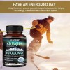 kenofor Himalayan Premium Pure Shilajit 120 Caps, IMPROVES VIGOR-VITALITY USA