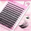 Lash Clusters Eyelash Clusters Natural D Curl Cluster Eyelash Extensions