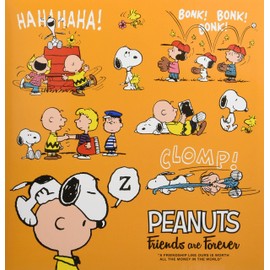 Nakabayashi Character L Size Fuyasu Album Bis Type White Mat 10 Sheets A-LF-1007 Snoopy B