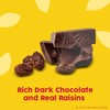 Raisinets, Dark Chocolate Covered California Raisins, Movie Theater Candy Box,