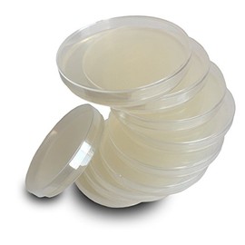 Nutrient Agar Plates by Evviva Sciences - Swabs Not Included - Prepoured Nutrient Agar Petri Dishes - Excellent Growth and Performance - A Great Science Kit for Science Fair Projects