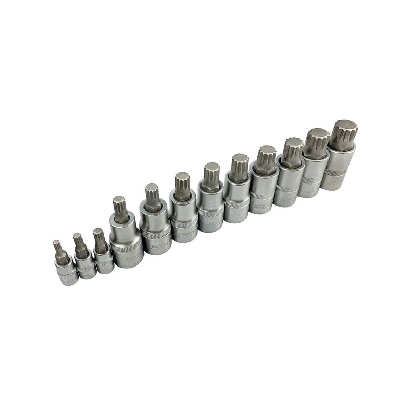 Haskyy 12-piece internal multi-tooth XZN sockets, multi-tooth set M4 M5