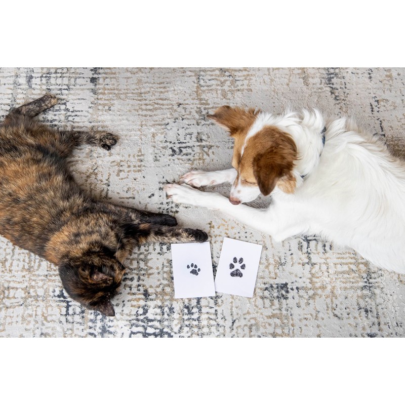 Pearhead Paw Print Clean Touch Ink Pad Kit for Dogs
