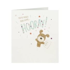 UK Greetings Congratulations Passing Exams Card - You've Passed Your Exams Hooray!