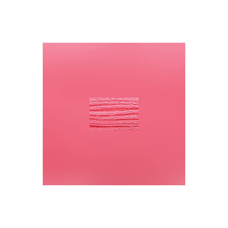 Anchor Maia 6-Strand Embroidery Floss, 8.75-Yard, Carnation Medium