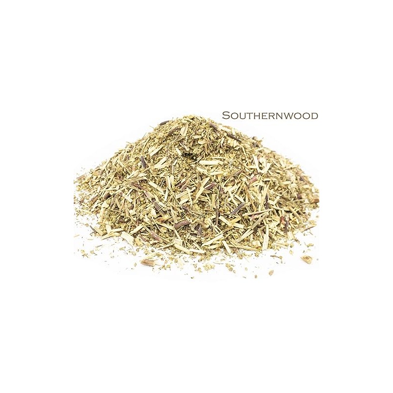 Southernwood and Green Tea Herbal Infusion (Gyokuro - 25 Unbleached