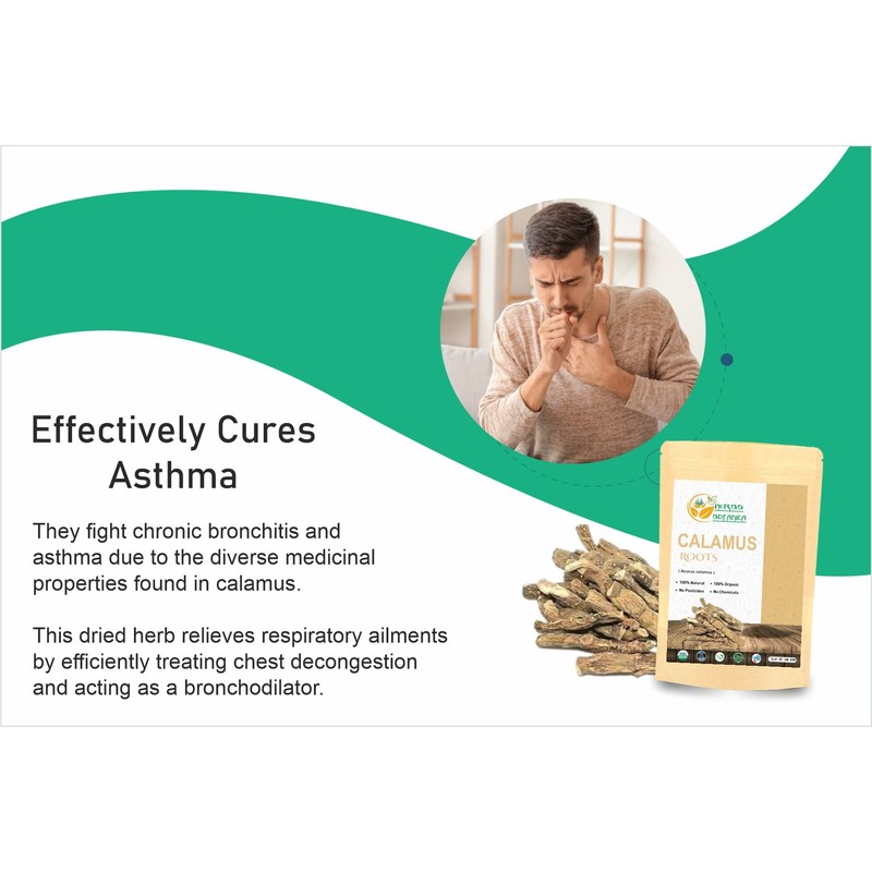Herbs Botanica Calamus Root Loose Dried Herb For Skin, Stomach