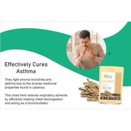 Herbs Botanica Calamus Root Loose Dried Herb For Skin, Stomach Health Benefits Herbal Tea Sweet flag/Sway/Vacha/Muskrat root/Vasambu 1 lb Bulk Bag
