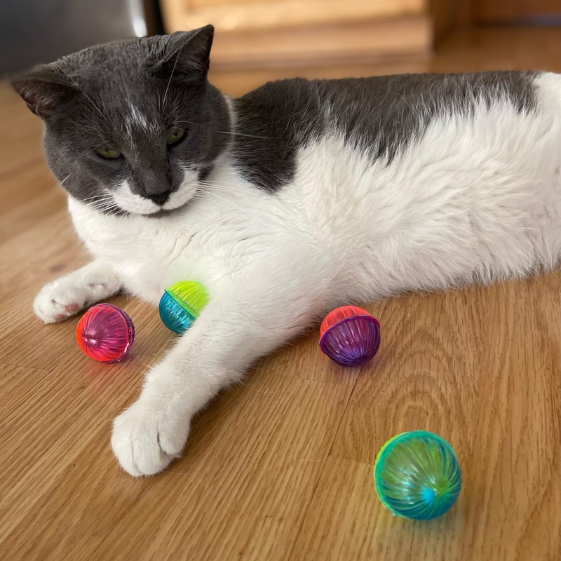 SPOT Shimmer Balls Cat Toys - Fun Balls with Rattle