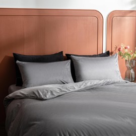 2 Pack Zippered Velvet Standard Pillowcases, Super Soft and Cozy Luxury Fuzzy Flannel Pillow Cases with Zipper, 20x26 Inches, Dark Grey