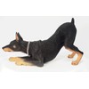 Conversation Concepts Doberman Figurine Black MyDog