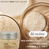 The Face Shop The Face Shop Rice Ceramide Moisturizing Cream