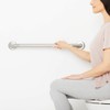 Seachrome 30" Wall Mount Grab Bar, 1 ¼" Diameter, Concealed