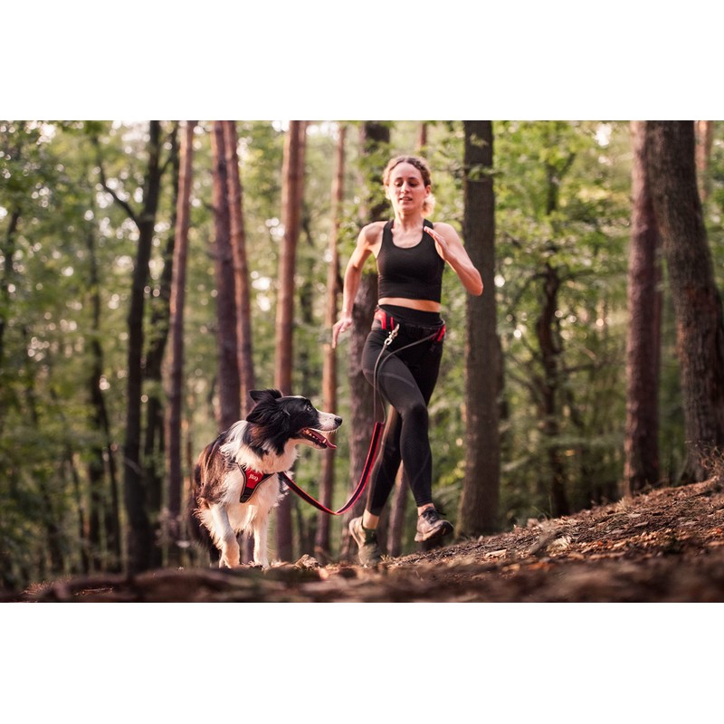 JK9 Speed Running Belt - Red