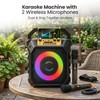 VICTRESS 30W Karaoke Machine Adults with 2-Way Coaxial Driver&2 Mics,Black