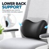 Ergonomic Lumbar Support Pillow, Memory Foam Back Cushion for Car