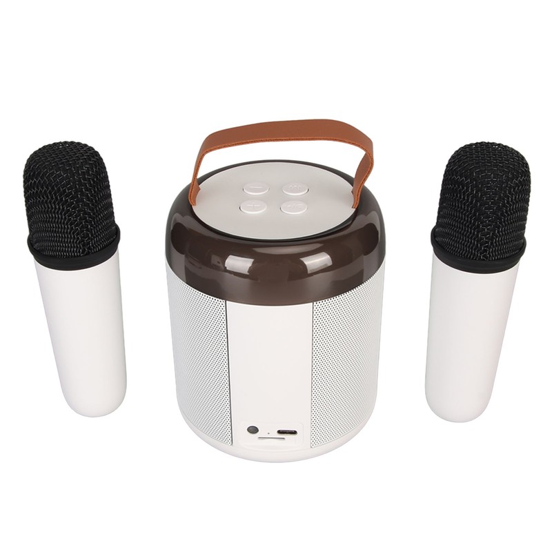 Wireless Karaoke Speakers RGB Light Bluetooth5.3 Speaker with 2 Wireless